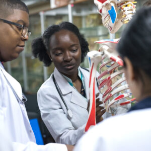 Testing Solutions MCAT Prep Overview